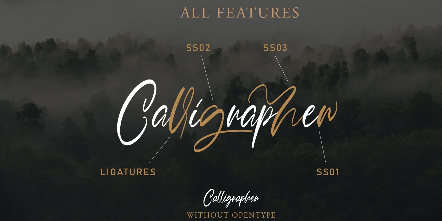 Example font Calligrapher #8